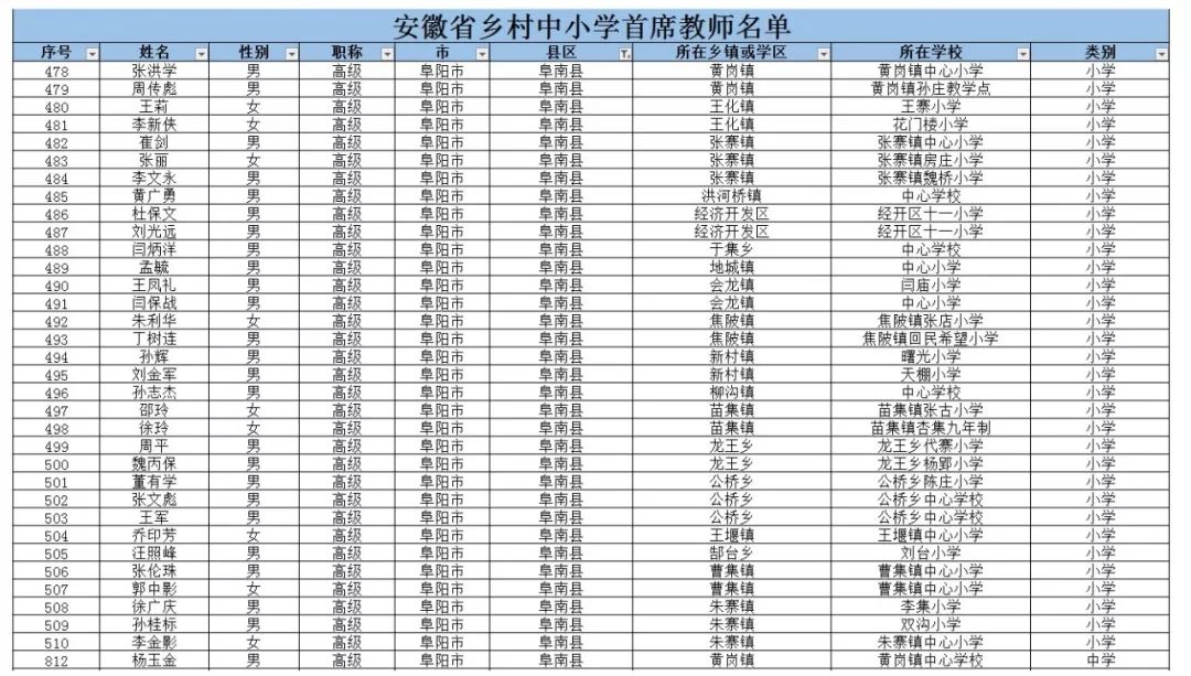 阜南這些老師被評為安徽省鄉村中小學首席教師!快看都有誰(附名單)