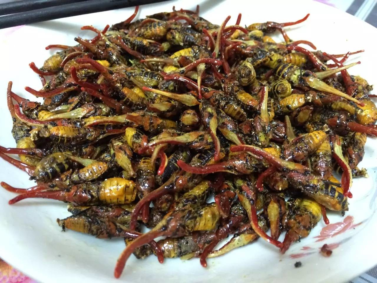 许多人都听说过龙眼鸡,它是一种危害果树的害虫,其