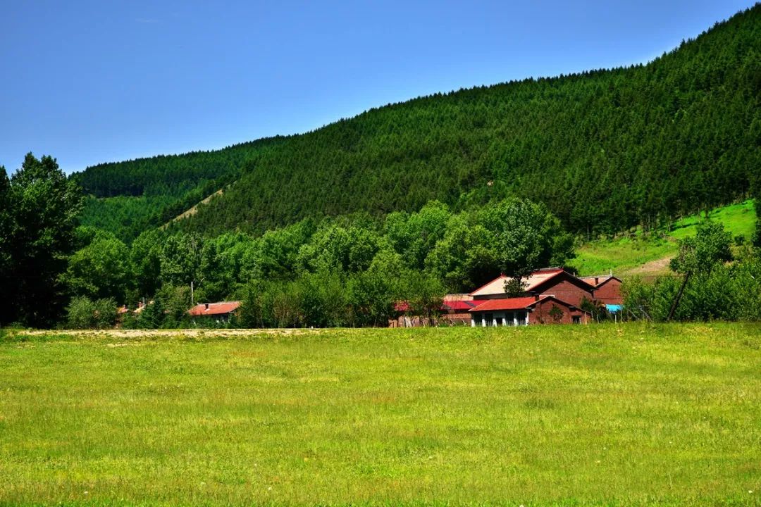 美林谷是一个很适合一家老小度假放松的地方.