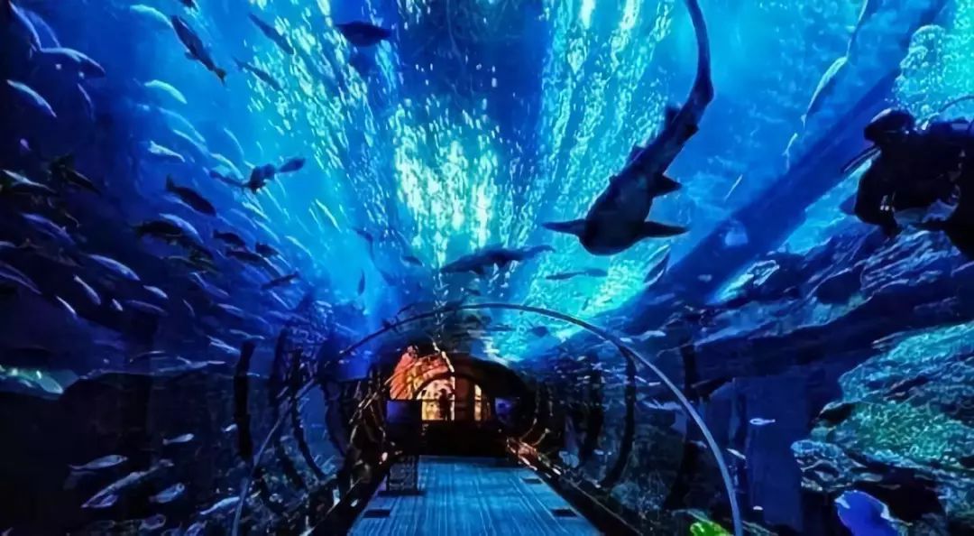 濮阳周边有这么多网红景点!油田人快约