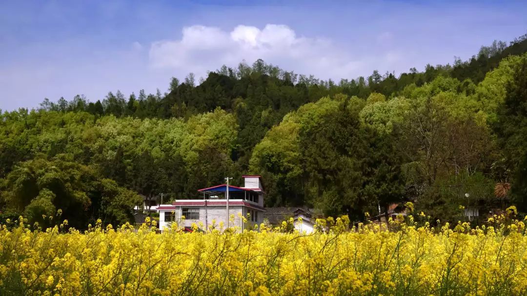 田园农家诗情画意赏白堡白堡村,地处阆中市河溪镇东北部,构溪河国家级