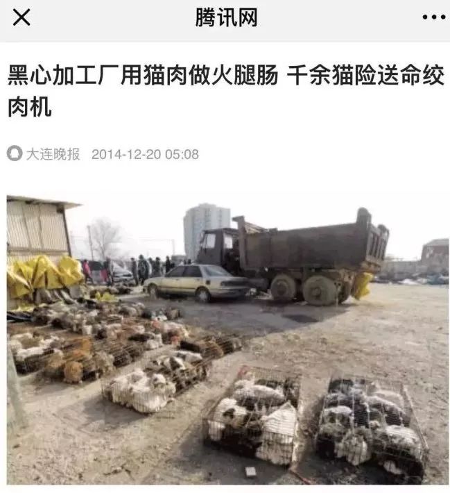 虐杀方式实在是令人发指○其实不管什么动物,如果屠宰用于肉食的话