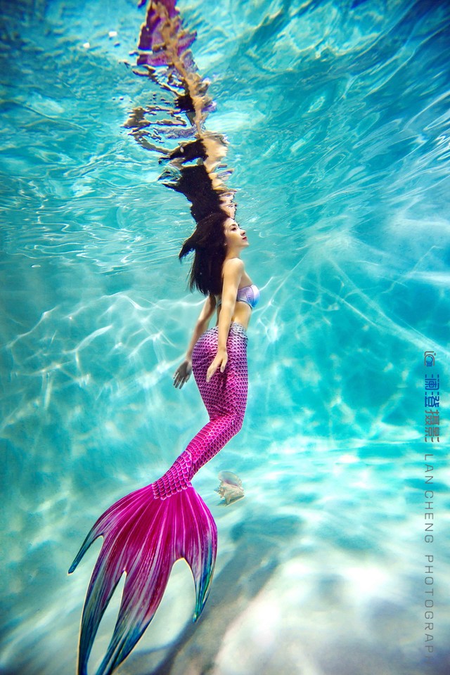 水下摄影水下美人鱼