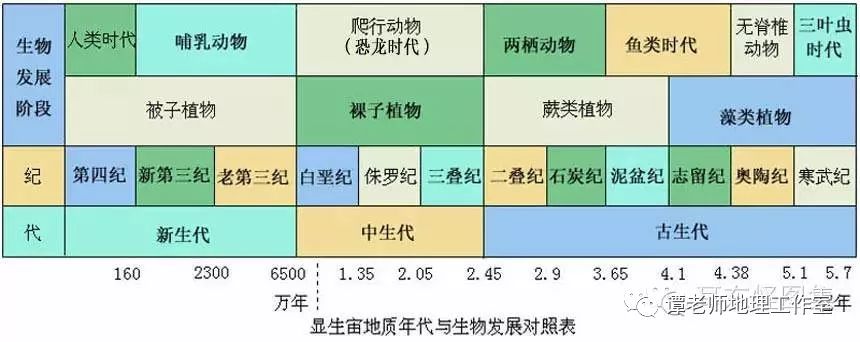 然后,依据生物界的整体面貌,分出了古生代,中生代和新生代.