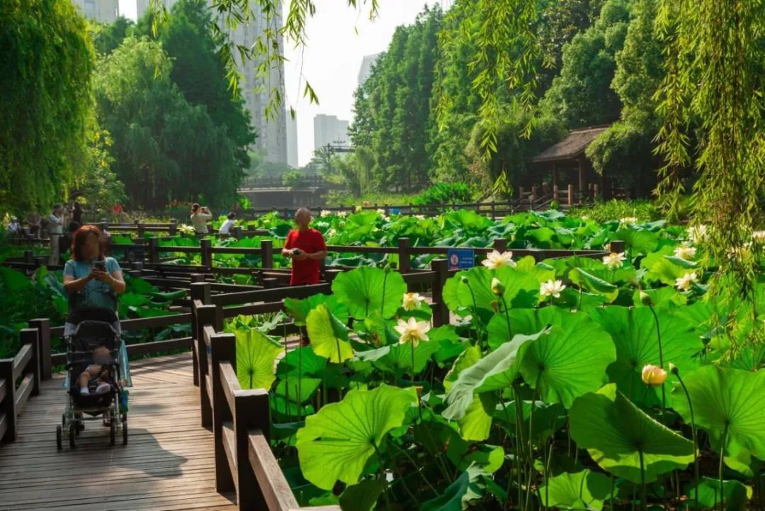 水景公园名称图片