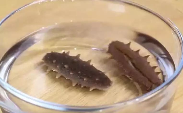 泡发干海参有绝招