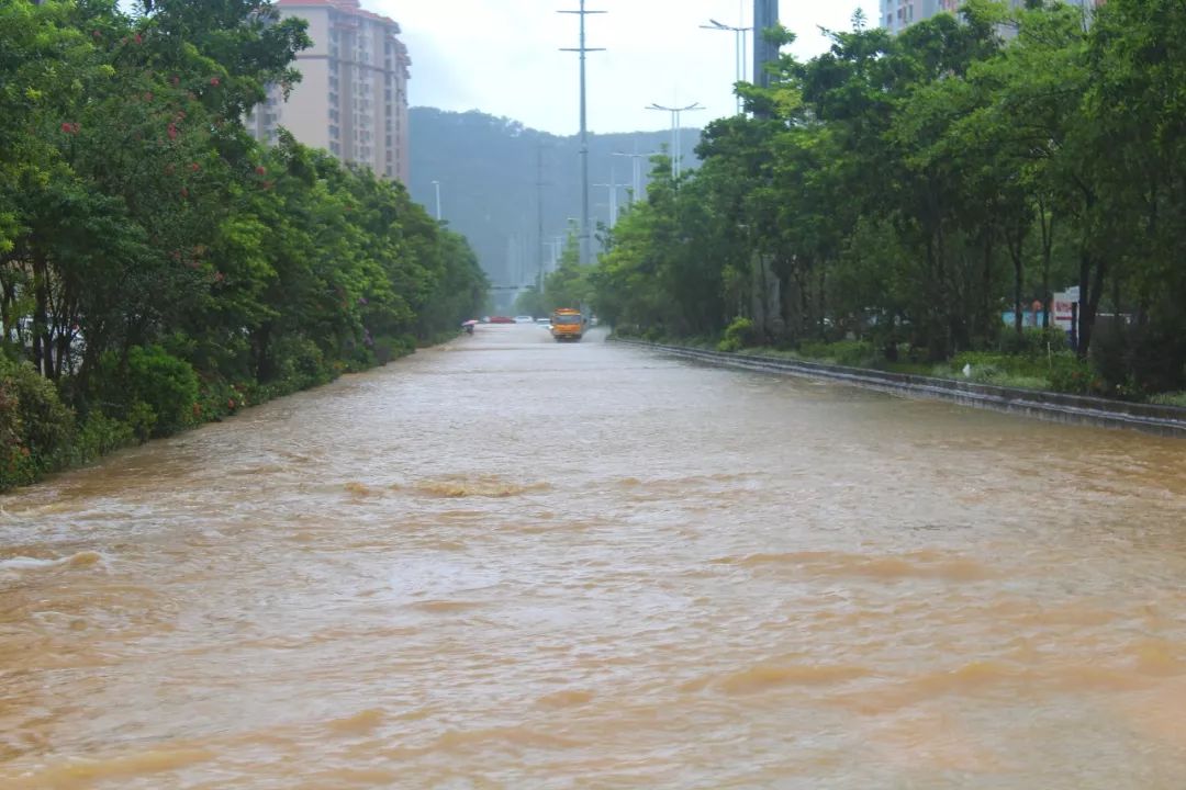 红色预警阳春大暴雨水浸街又刷爆了朋友圈