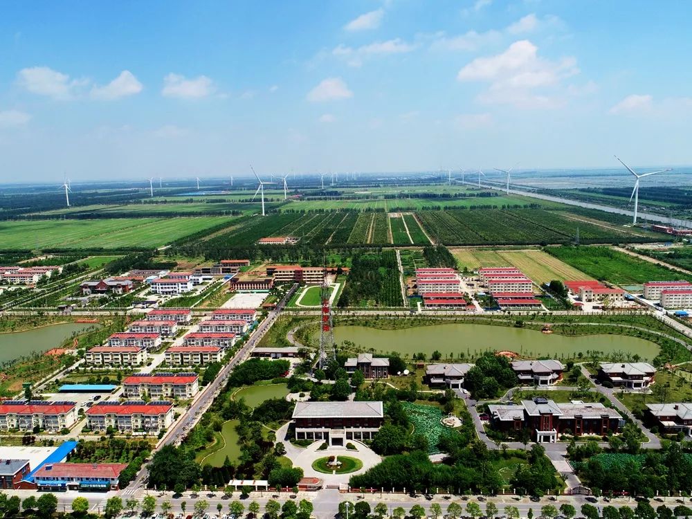 上海农场又"火"上电视了!