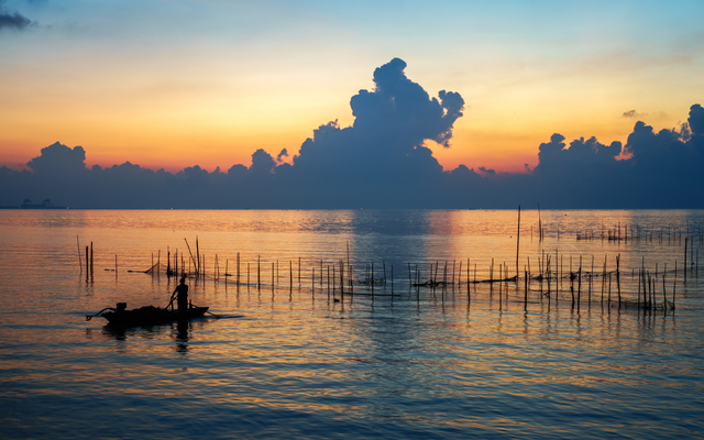 崖口七月光影报告