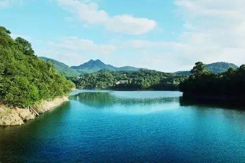 王牌对王牌晋安你好