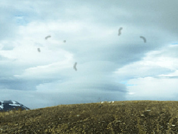 若已是飞蚊症患者且合并上述情况,则有较高的风险引起其他并发症,如