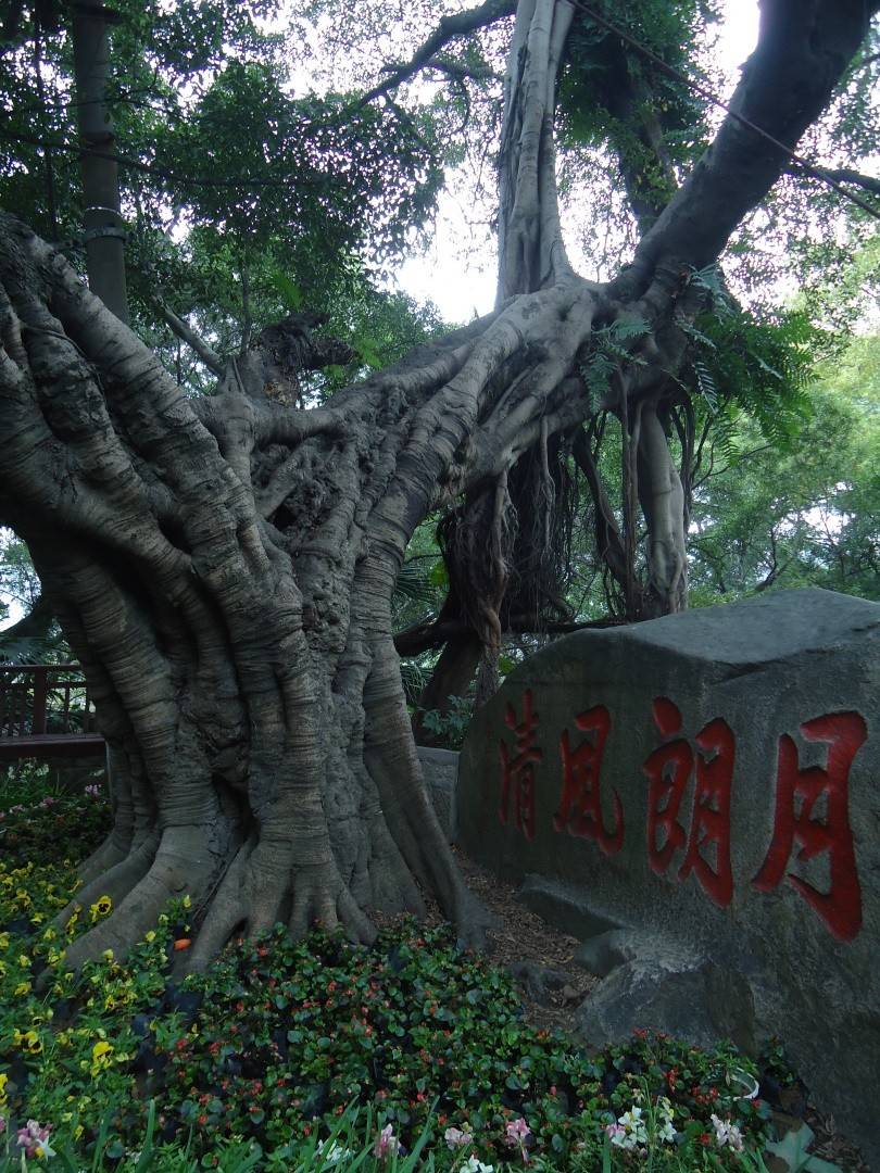 福州有福之州三山二塔一水之城