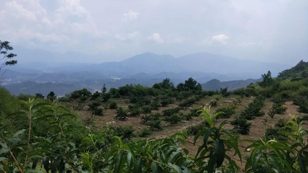 桑植县西界村看得见的脱贫攻坚