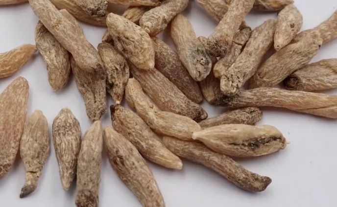 04泛油在储存中应根据药物不同的性质严格控制温度