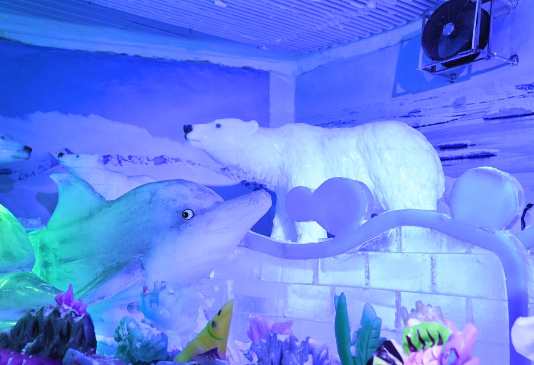 奇观目前西北地区zui大的室内冰雪主题游乐园位于曲江海洋极地公园里
