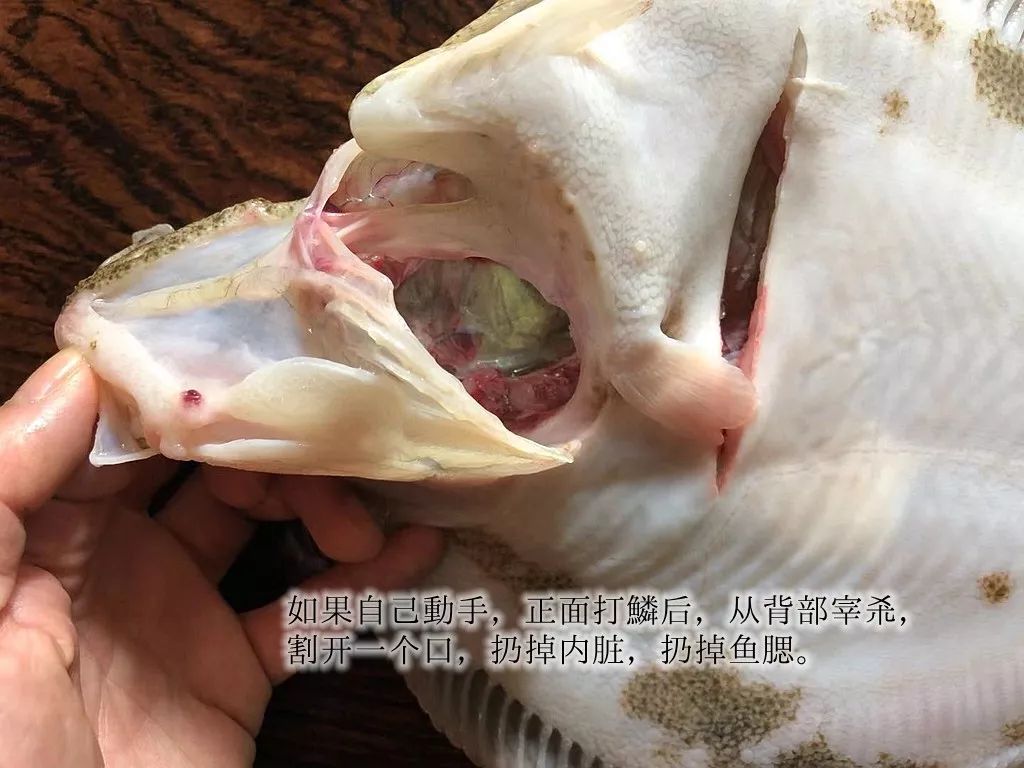 红烧一条多宝鱼咿呀咿呀哟没错它比清蒸多宝鱼更美味