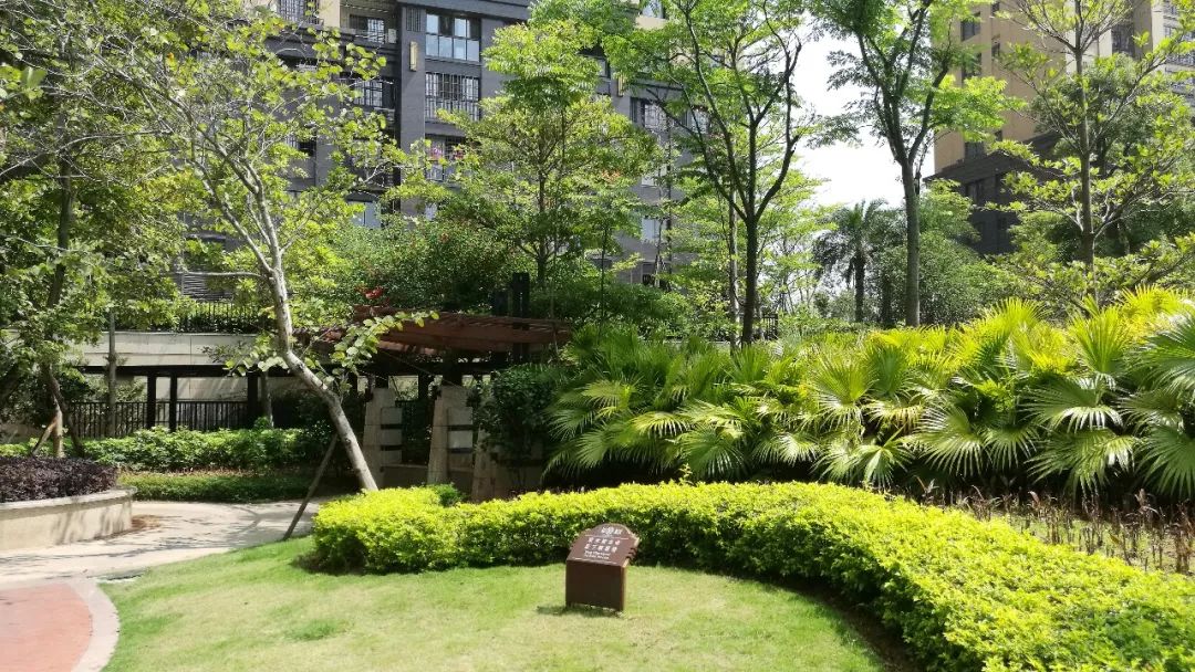 三福龙景61龙廷注册名