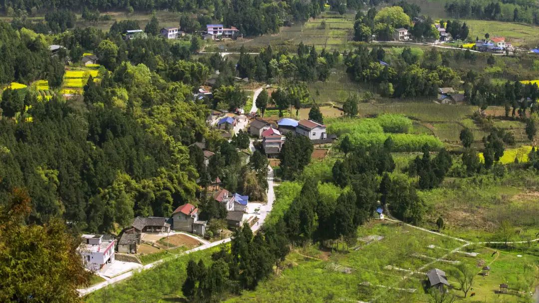 美丽南充网红新村诗圣杜甫专门为它作诗阆中这个乡村面子咋就那么大