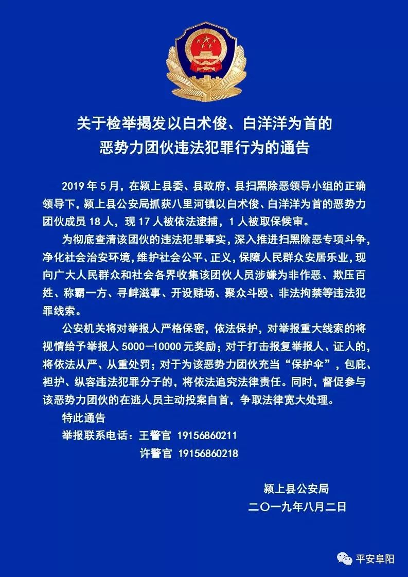 利辛邻县八里河白术俊白洋洋等18人被抓