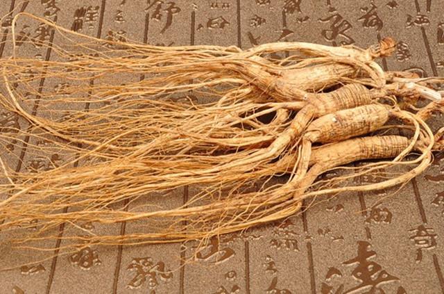 第四 独占经济资源东北地区资源丰富,尤其是人参,鹿茸,貂皮等特产,而