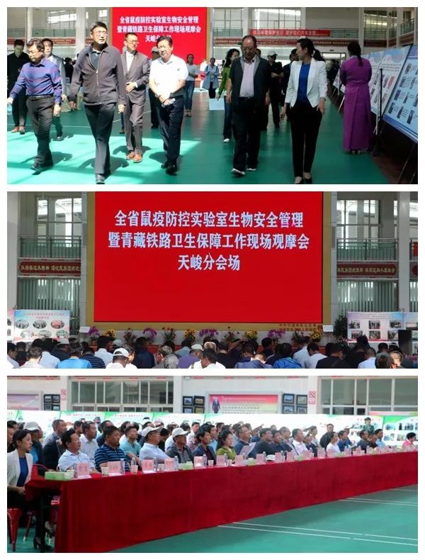 天峻县委书记马学太,县委常委,政府常务副县长杨金山,副县长雪莲及