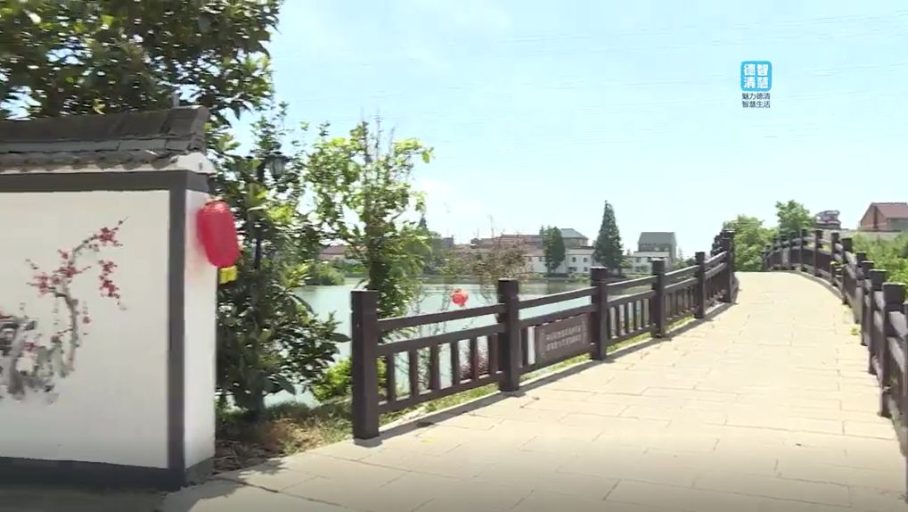 杨墩村解放村三棵树家庭农场雷甸镇为田博会增添亮色