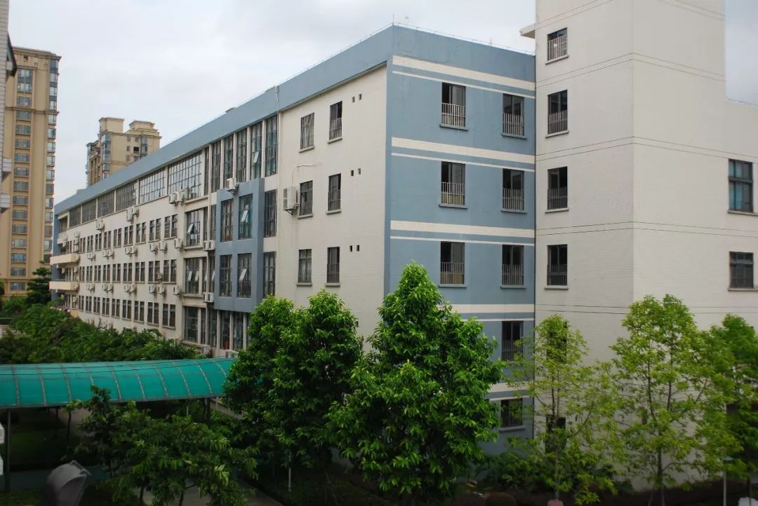 佛山市实验学校招聘公告