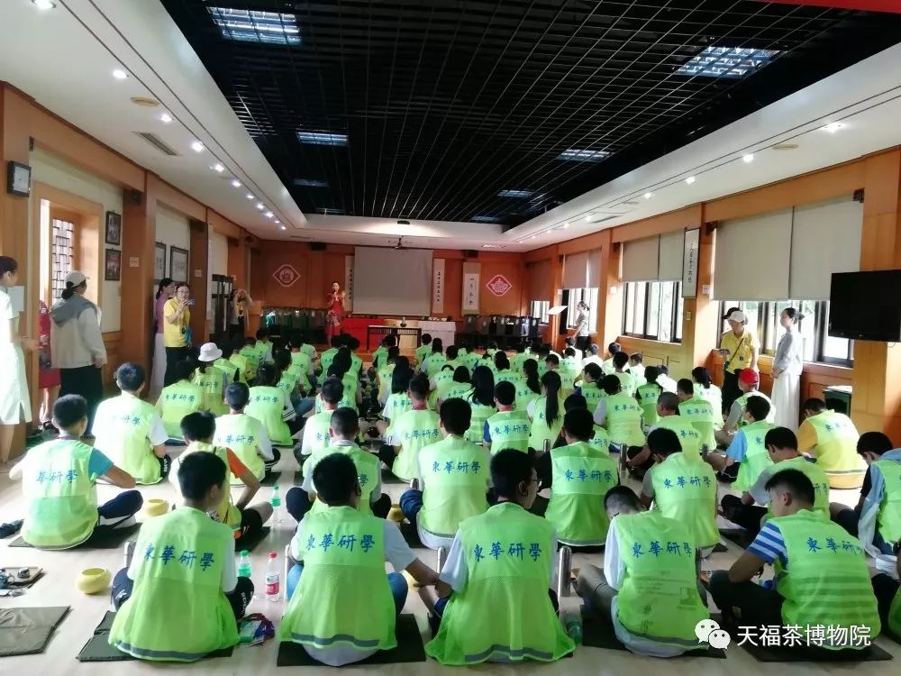 东华研学团之天福茶之旅圆满成功