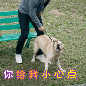 记住身份证这几条信息,避免损失惨重!_证件