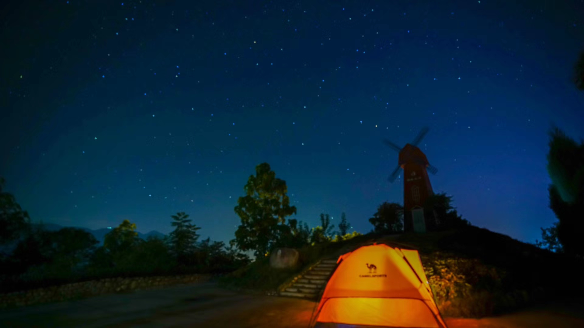 仲夏夜每只萤火虫都提着一盏灯