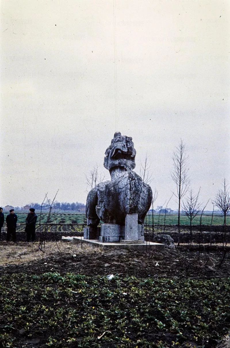 丹陽南朝陵墓石刻(陵口石刻),1986▲ 丹陽南朝陵墓石刻(陵口石刻)