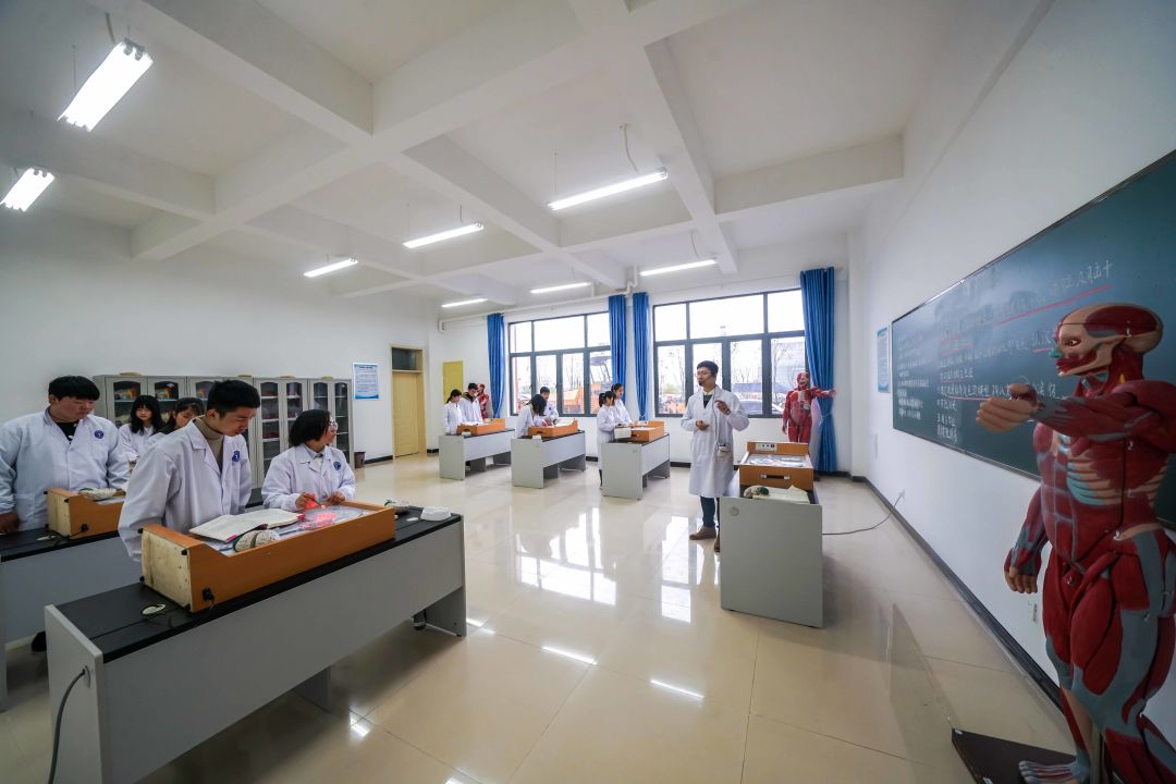 上饶卫生学校2019年公开选调医药卫生类人才公告