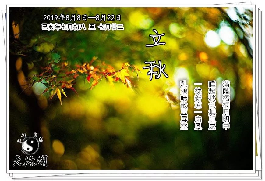 【立秋】周四·2019年8月8日七月初八黄历