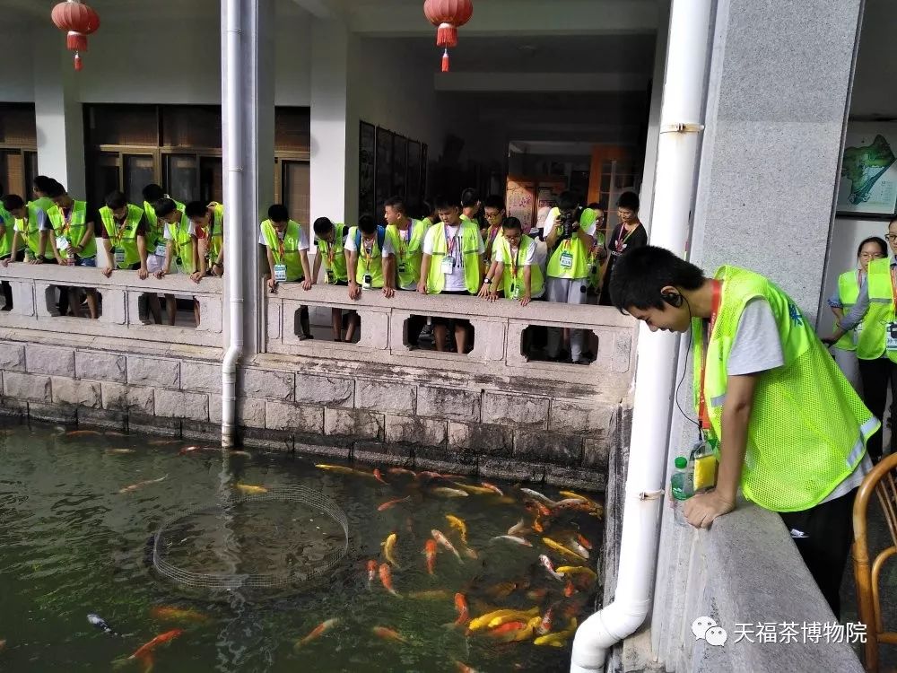 东华研学团之天福茶之旅圆满成功