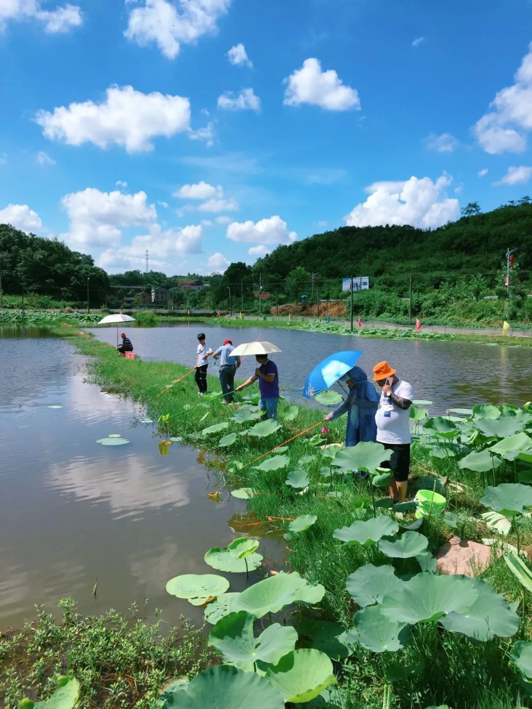 乡村振兴:祁东鸟江金槐村首届钓虾大赛成功举办