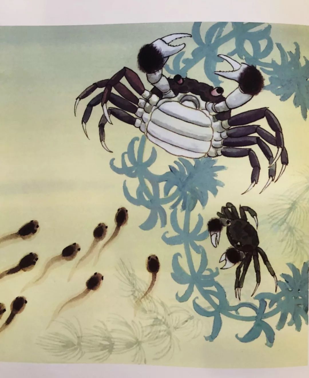 墨洋之声丨中华名家经典原创图画书系列小蝌蚪找妈妈