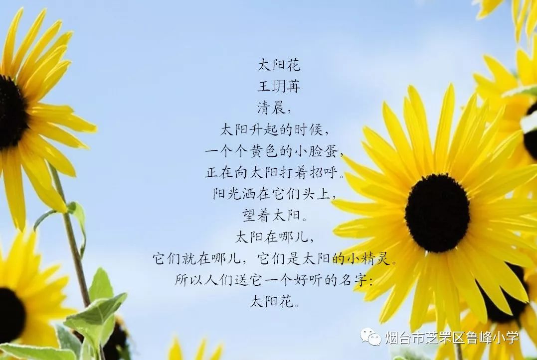 本期好声音为大家推送了有关花儿的儿童诗,童诗中的花儿你们喜欢吗?