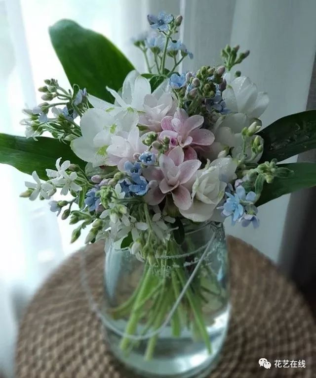 姜荷花花期可达10天以上,非常的耐养,夏天买一束姜