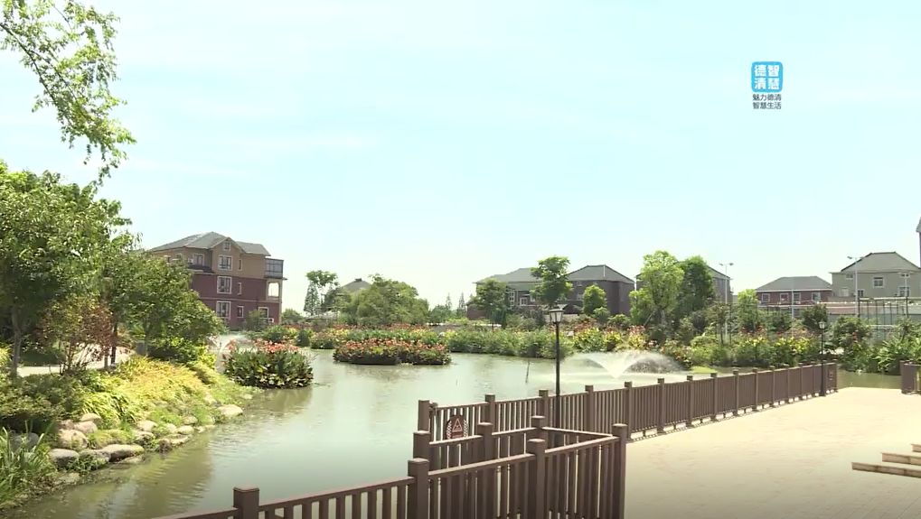 杨墩村解放村三棵树家庭农场雷甸镇为田博会增添亮色