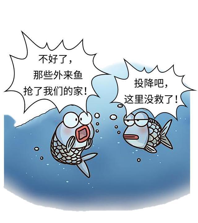 罗非鱼漫画图片图片