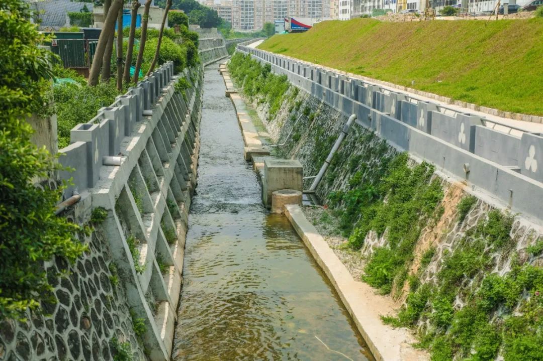 宝安水经注丨机场外排洪渠城市绿脉人工湿地未来可期内有福利