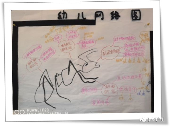 伊顿教学小蚂蚁的探索之旅记国际二班绘本主题探究