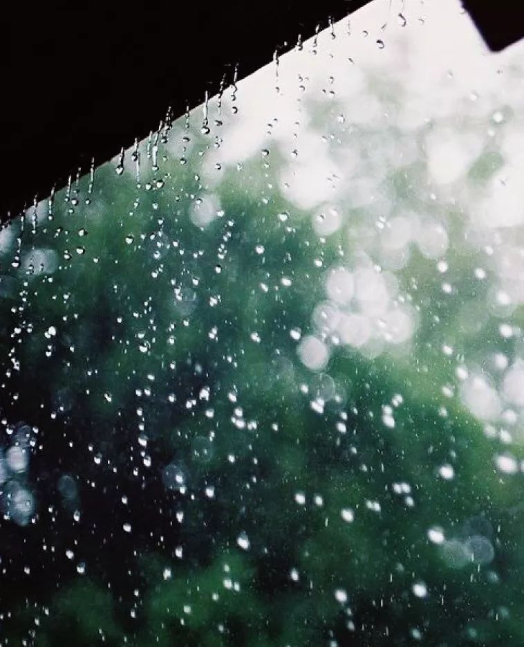 雨打芭蕉夜坐窗听雨眠