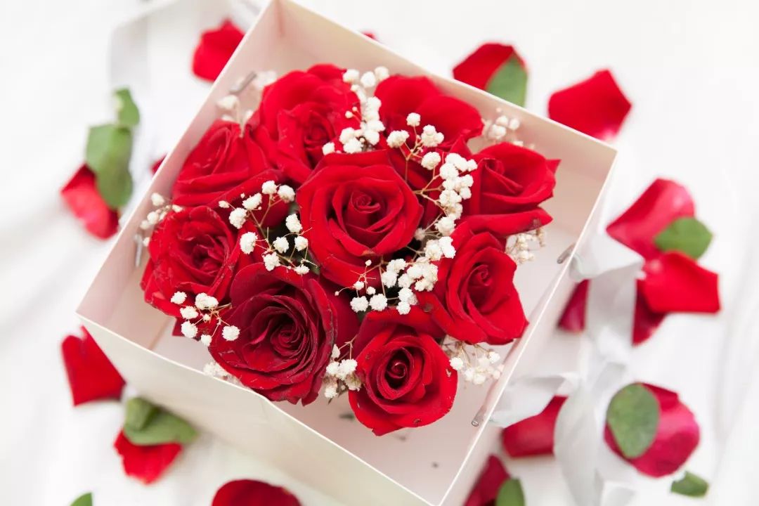 情人节,这家花店福利送不停!_玫瑰花