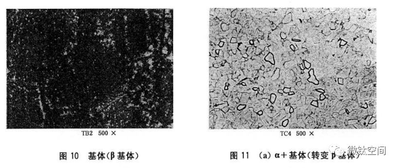 钛合金金相术语及图谱10例