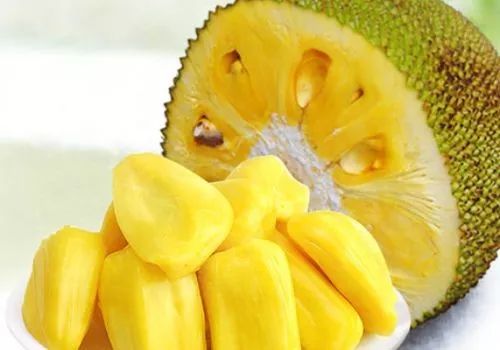 寻味普洱甜甜蜜蜜菠萝蜜