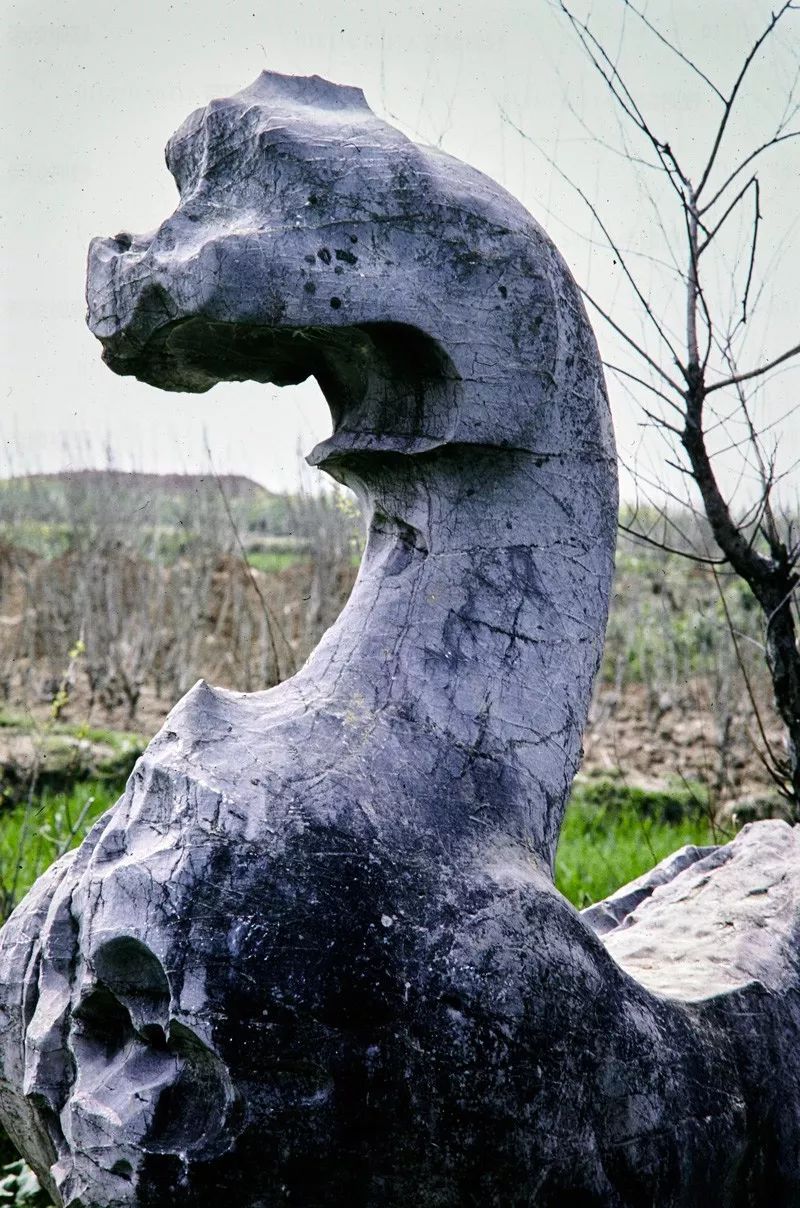 帝陵视野八十年代的南朝陵墓石刻