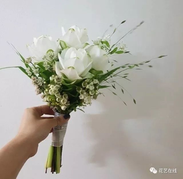 姜荷花还是巨蟹座的守护花,这个七夕请送一束给巨蟹