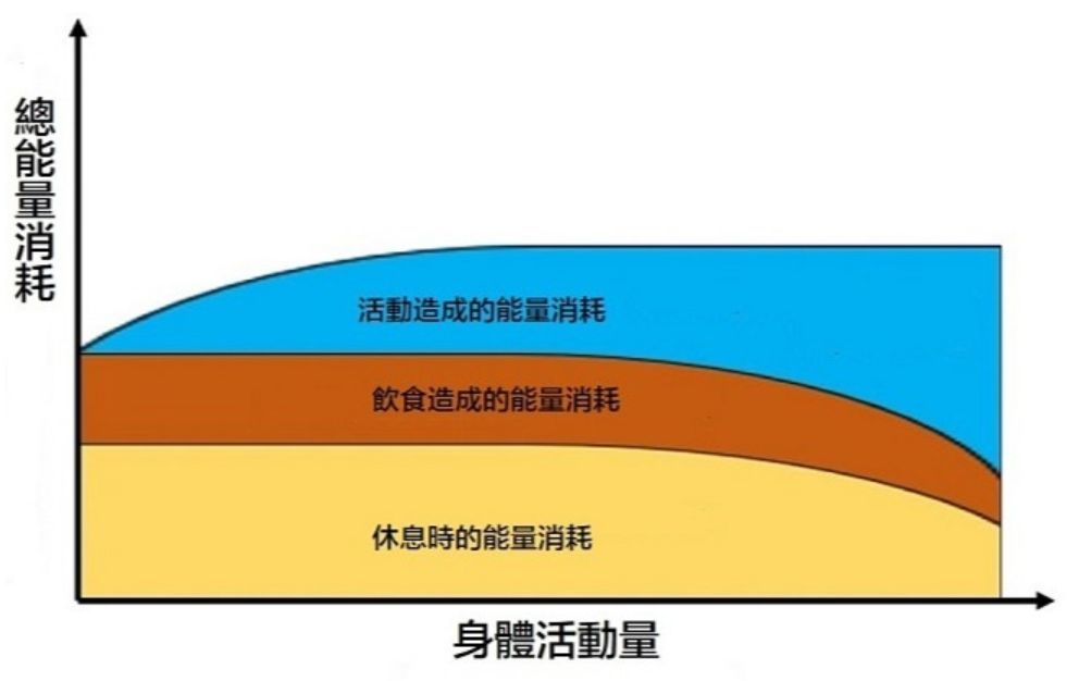 陪你瘦只要运动量增加就能燃烧更多热量