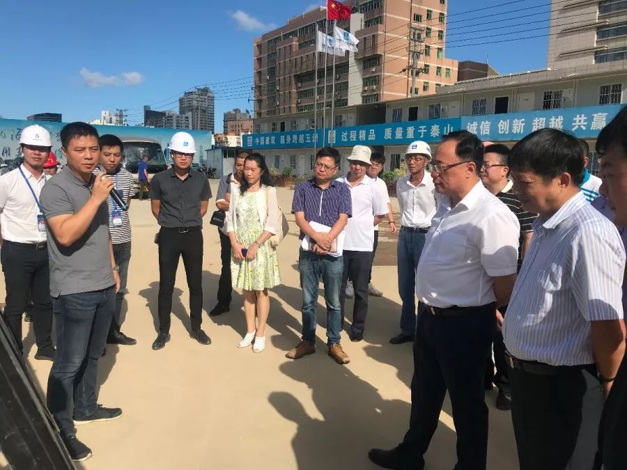 市人大常委会领导林中,朱育平,林鹤志,蔡和斌,林传金分别带领"三大